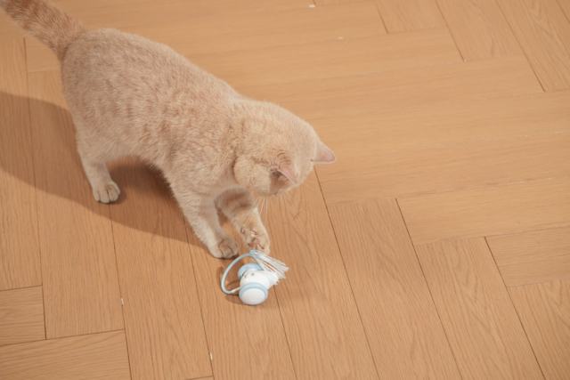Cheerble Wicked Mouse Neo Smart Cat Toy - Product Image 7