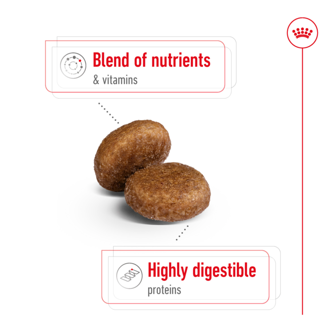 Royal Canin Maxi Adult 5+ Dry Dog Food - Product Image 4