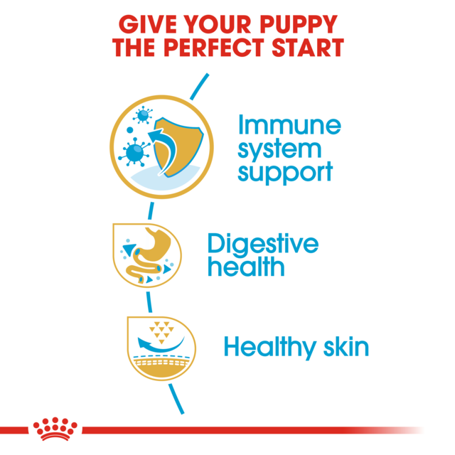 Royal Canin French Bulldog Puppy Dry Dog Food - Product Image 4