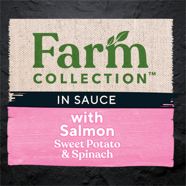 Dine Farm Collection with Salmon, Sweet Potato & Spinach Wet Cat Food Pack - Product Image 2