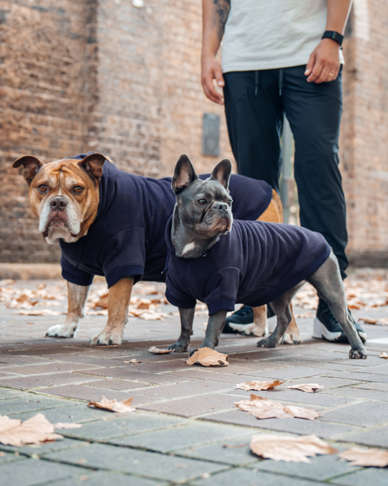 Dog Friendly Co. Winter Dog Hoodie - Product Image 4
