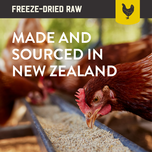 Kiwi Kitchens Chicken Freeze Dried Cat Food - Product Image 2