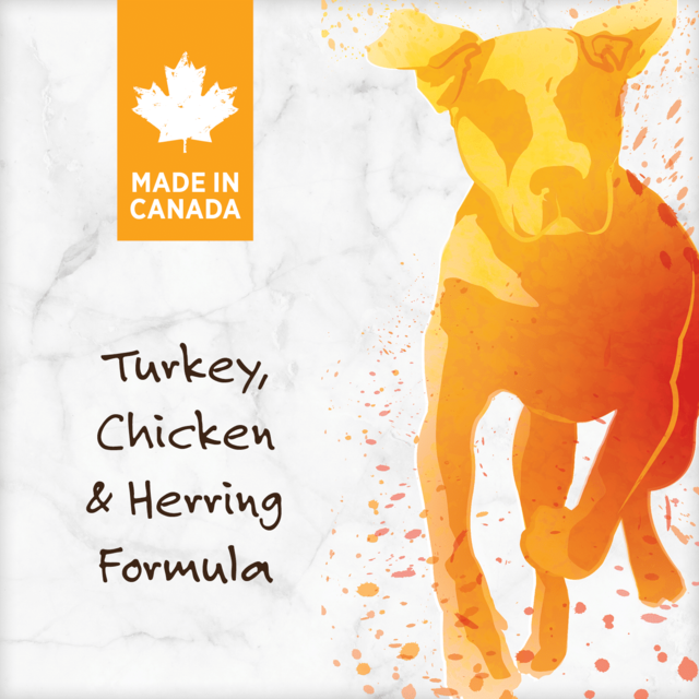 Nutrience Grain Free Turkey Chicken & Herring Dry Dog Food - Product Image 8