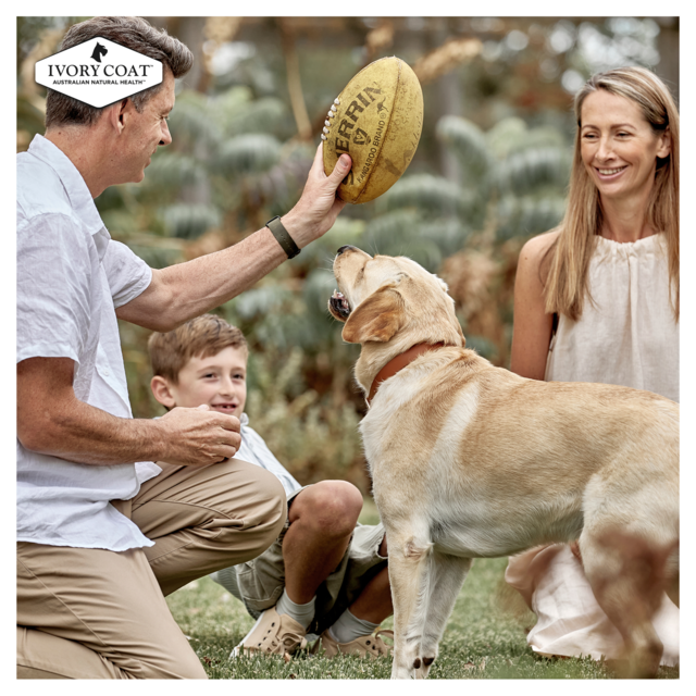 Ivory Coat Grain Free Chicken Stew Puppy Wet Dog Food - Product Image 14