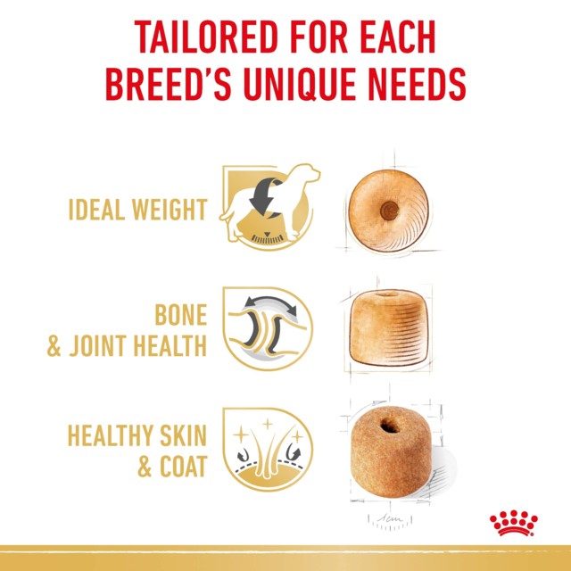 Royal Canin Labrador Retriever Adult Dry Dog Food - Product Image 4