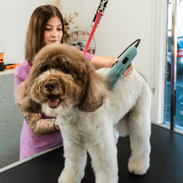 Wahl KM Inspire Professional Corded Cat and Dog Clipper - Product Image 12
