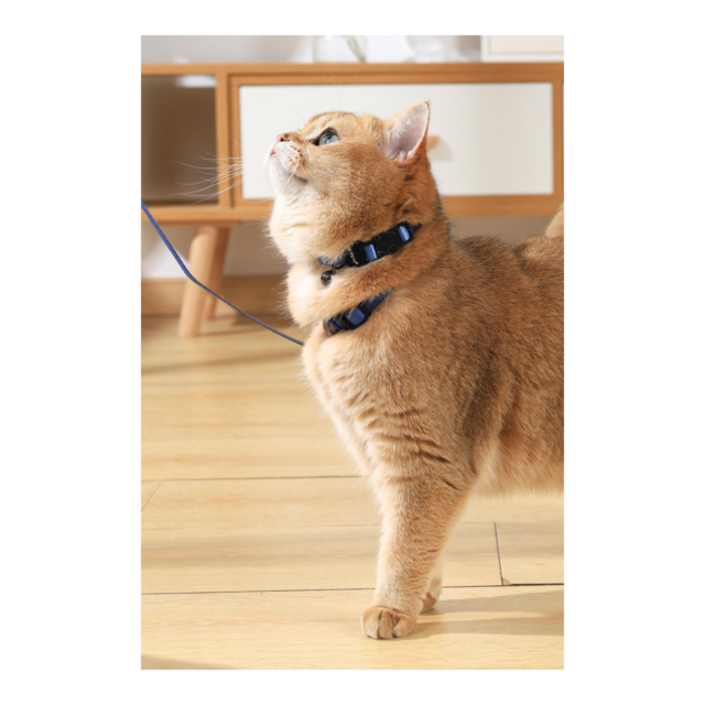 M-PETS Gentle Cat Harness and Leash Set - Product Image 9