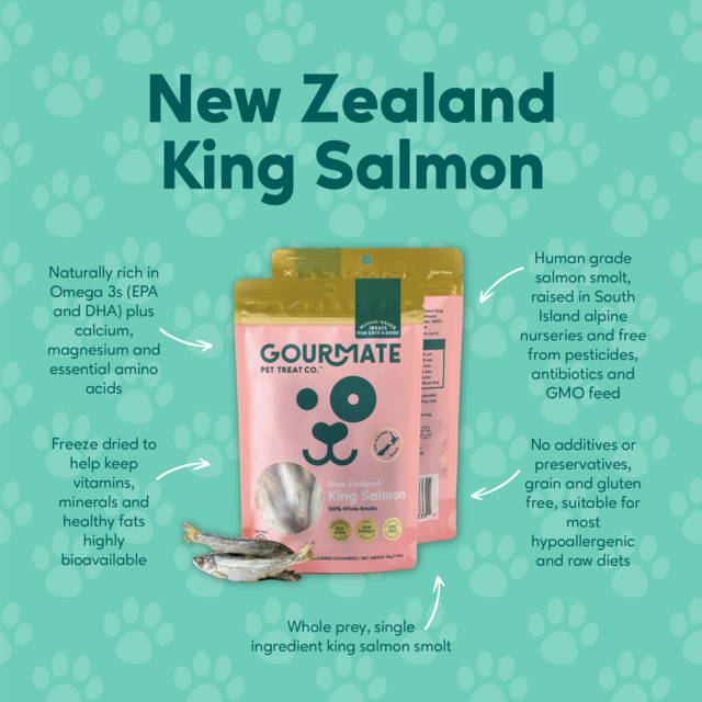 Gourmate Pet Treat Co. New Zealand King Salmon Whole Smolt Dog Treats - Product Image 2