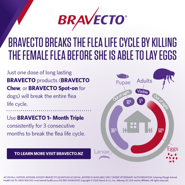 Bravecto 1 Month Triple Flea & Worm Treatment for Dogs - Product Image 8