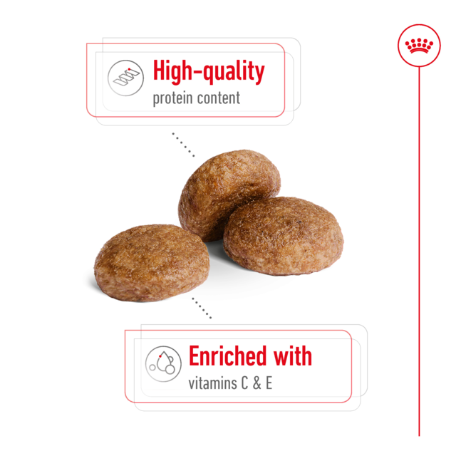 Royal Canin Medium Adult 7+ Dry Dog Food - Product Image 3