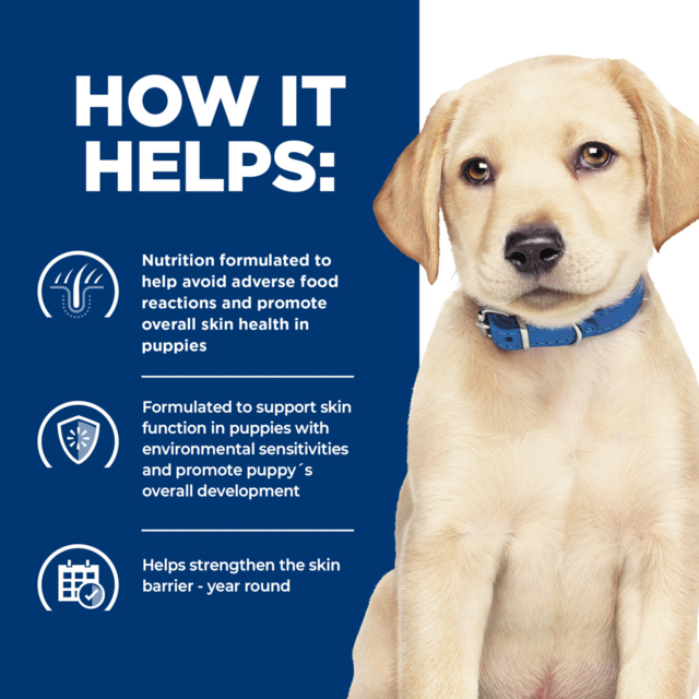 Hill's Prescription Diet Derm Complete Environmental / Food Sensitivities Puppy Dry Dog Food - Product Image 4