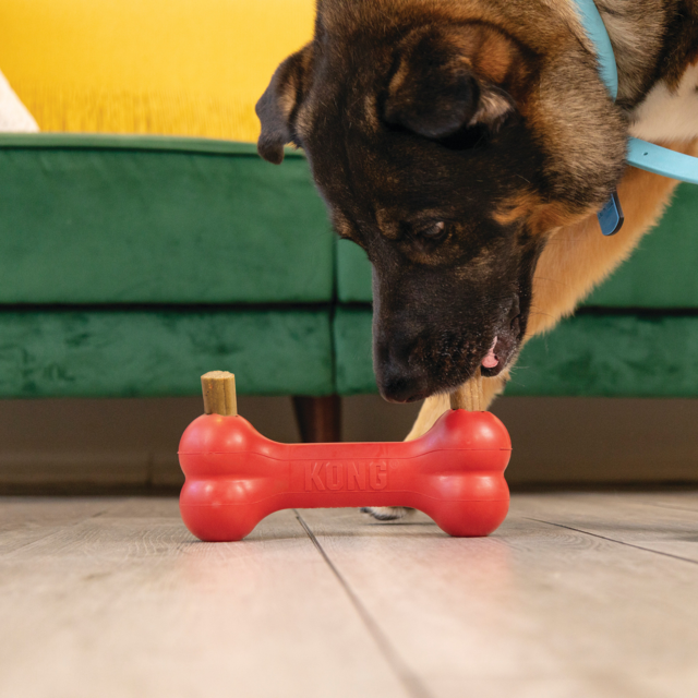 KONG Ziggies Enhanced Dog Treat - Product Image 3