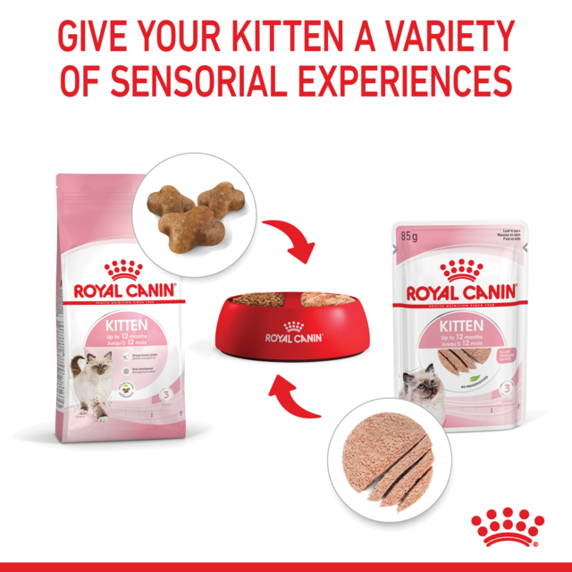 Royal Canin Kitten Dry Cat Food - Product Image 4