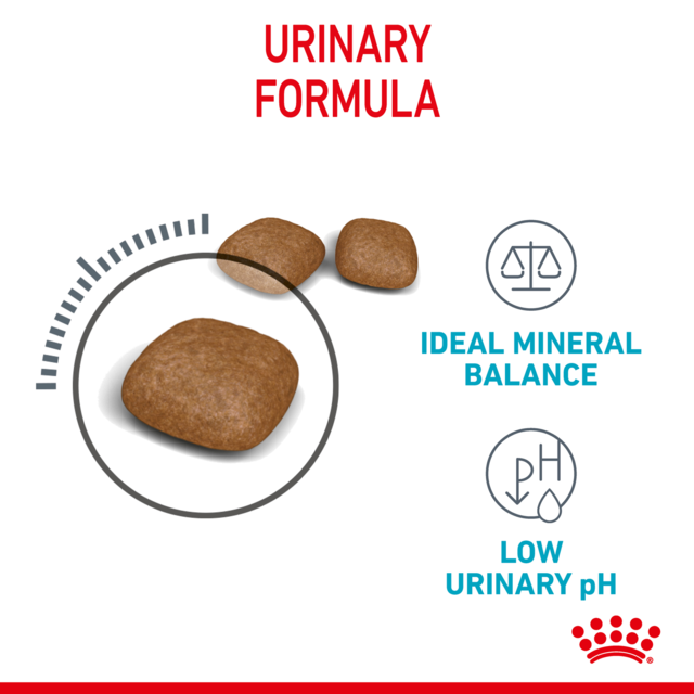 Royal Canin Urinary Care Dry Cat Food - Product Image 3