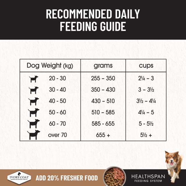 Ivory Coat Grain Free Large Breed Lamb Adult Dry Dog Food - Product Image 7