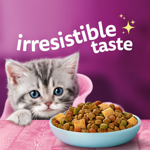 Whiskas Kitten Chicken & Tuna Dry Cat Food - Product Image 3