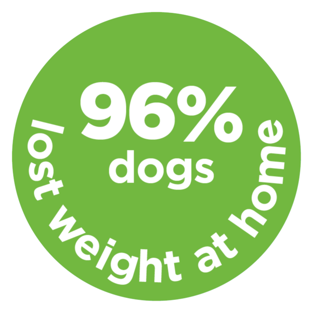 Hill's Prescription Diet Metabolic Weight Loss & Maintenance Dry Dog Food - Product Image 2