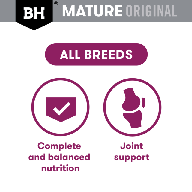 Black Hawk Original Mature Lamb & Vegetables Wet Dog Food - Product Image 5