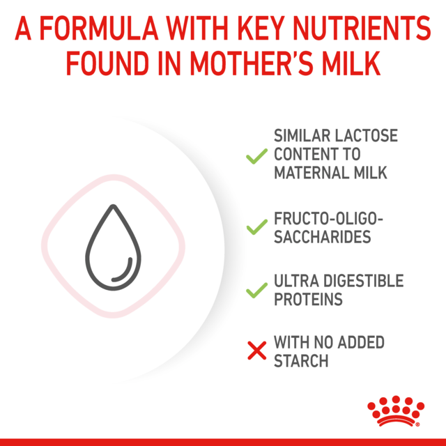 Royal Canin Babycat Milk - Product Image 3