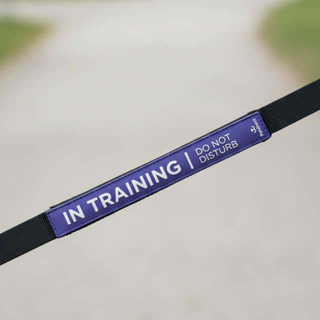 Petdirect In Training Dog Leash Sleeve - Product Image