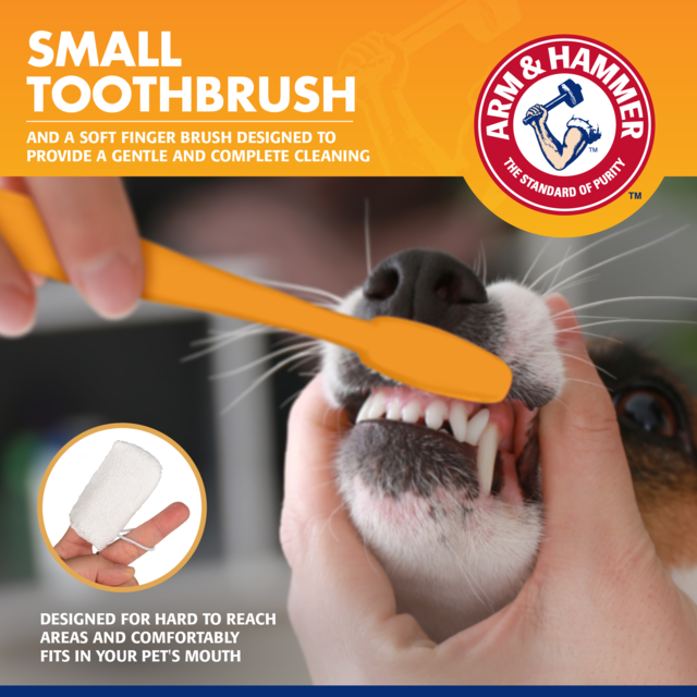 Arm & Hammer Tartar Control Vanilla Ginger Dental Training Kit for Puppies - Product Image 3