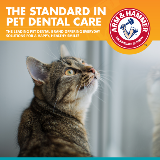 Arm & Hammer Fresh Breath Tuna Dental Kit for Cats - Product Image 3