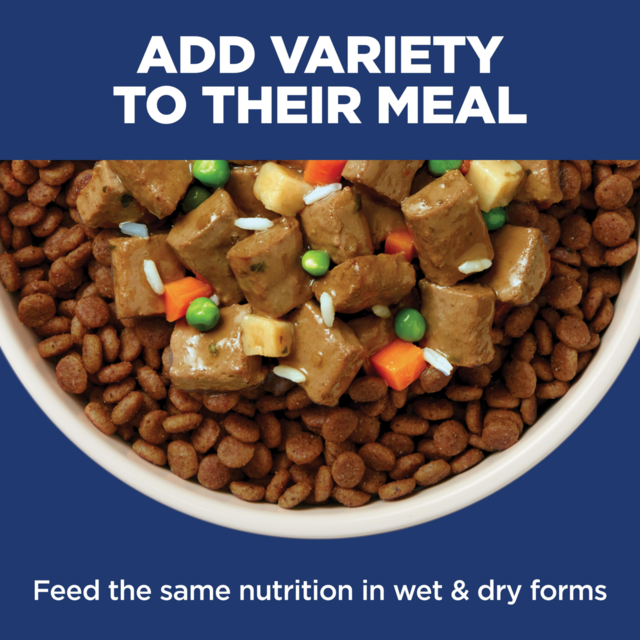 Hill's Science Diet Adult Sensitive Stomach & Skin Salmon Dry Dog Food - Product Image 6