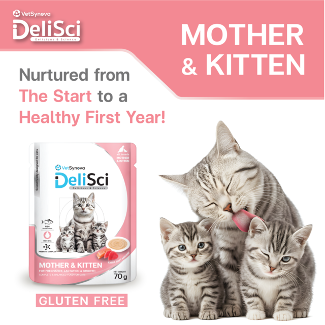 VetSynova DeliSci Mother & Kitten Mousse Wet Cat Food  - Product Image 2