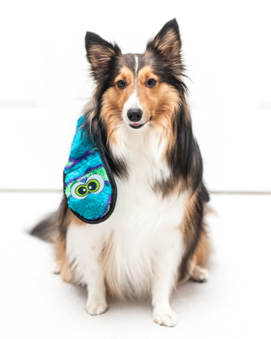 Outward Hound Durablez  Snake Dog Toy - Product Image 5