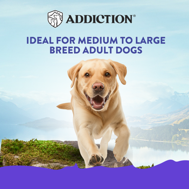 Addiction MEGA Hearty Chicken Stew Gravy Wet Dog Food - Product Image 2