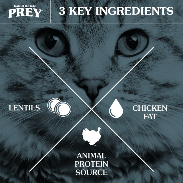 Taste of the Wild PREY Angus Beef Limited Ingredient Dry Cat Food - Product Image 2