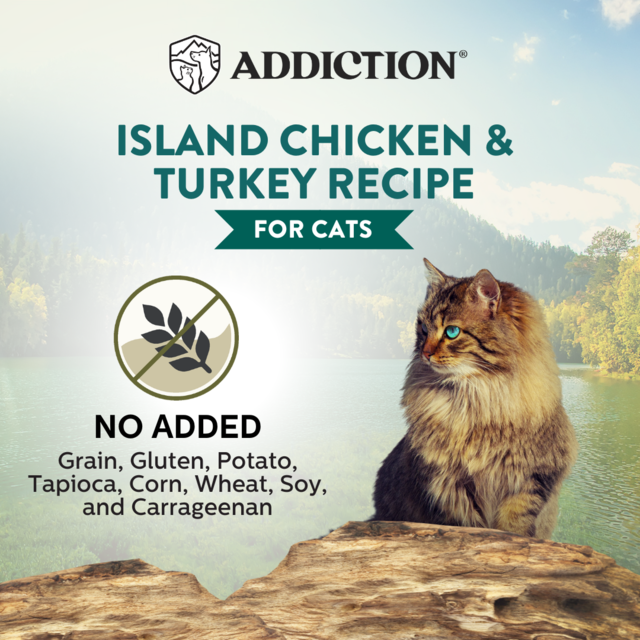 Addiction Wild Islands Island Chicken & Turkey Grain-Free Wet Cat Food - Product Image 4