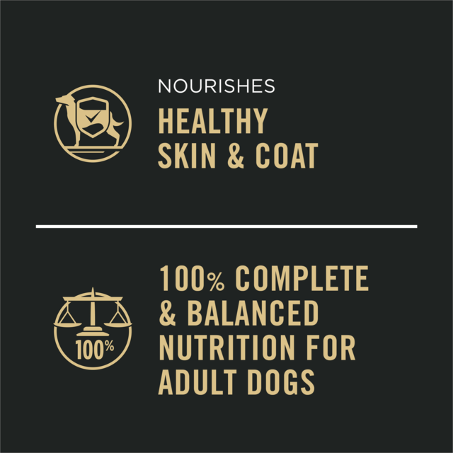 Pro Plan Adult Chicken & Rice Entree Classic Wet Dog Food - Product Image 2
