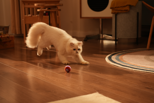 Cheerble M3 Mini Smart Cat Toy  - Product Image 9