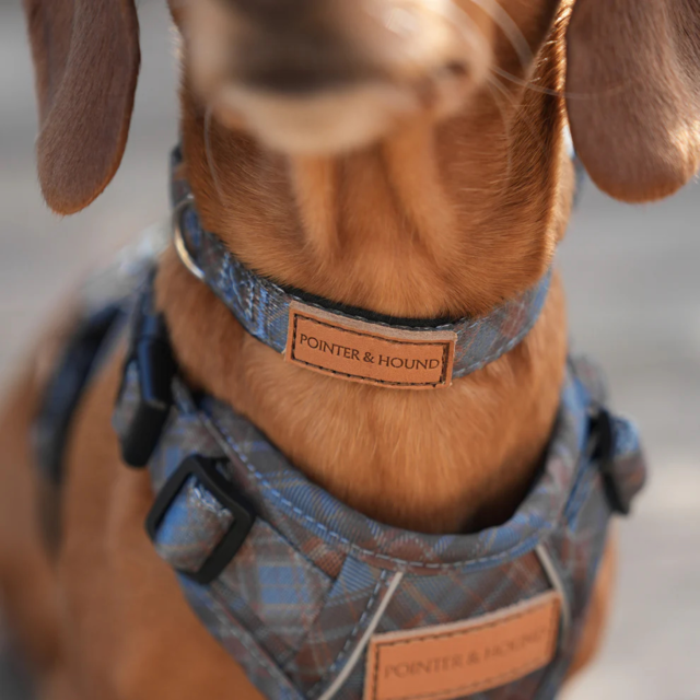 Pointer & Hound Signature Dog Collar - Product Image 9