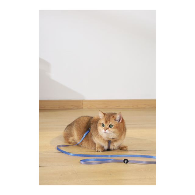 M-PETS Gentle Cat Collar - Product Image 6