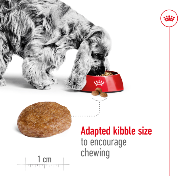 Royal Canin Medium Adult 7+ Dry Dog Food - Product Image 4