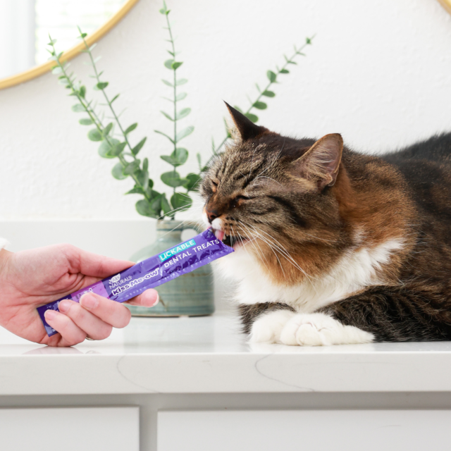 Ark Naturals Kiss Me-Ow Lickable Dental Chicken Cat Treats - Product Image 4
