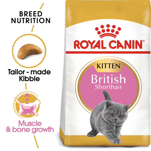 Royal Canin British Shorthair Kitten Dry Cat Food - Product Image