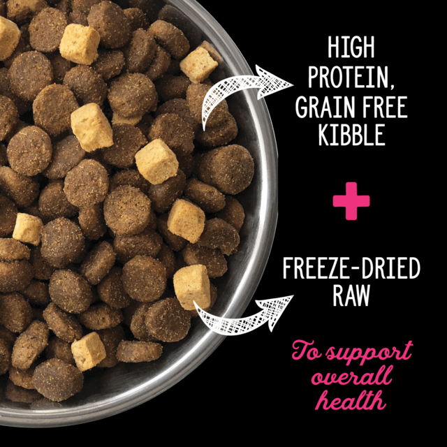 Nutrience SubZero Limited Ingredient Lamb & Pumpkin Dog Dry Food - Product Image 1