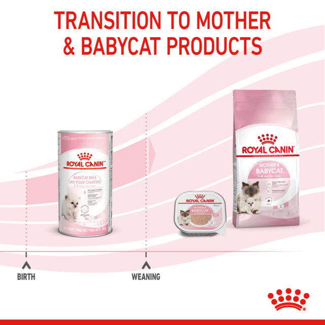 Royal Canin Babycat Milk - Product Image 5