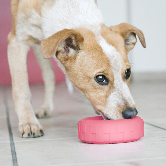 KONG Puppy Tires Dog Toy - Product Image 1