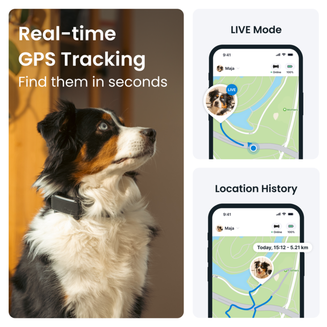Tractive Dog 6 GPS  and Health Tracker  - Product Image 4
