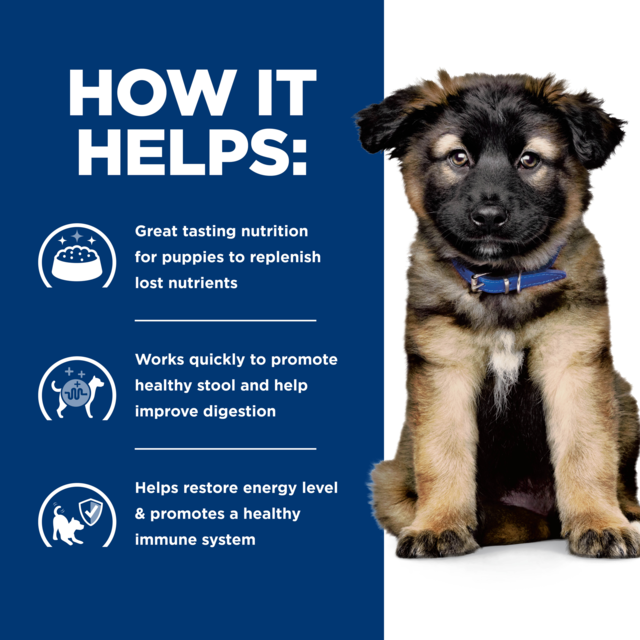 Hill's Prescription Diet i/d Digestive Care Puppy Dry Dog Food - Product Image 4