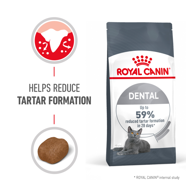 Royal Canin Dental Care Dry Cat Food - Product Image 1