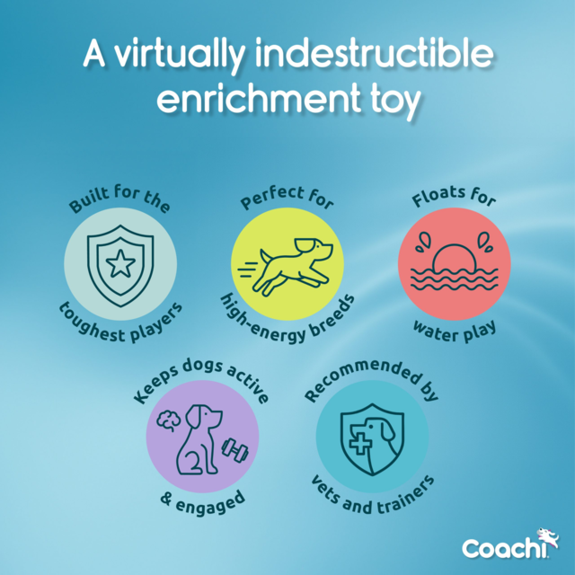 Company of Animals Coachi Boomi Ball Dog Toy - Product Image 4
