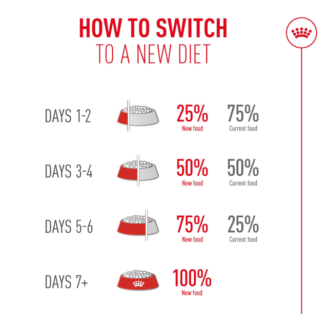 Royal Canin Ageing 11+ Dry Cat Food - Product Image 11