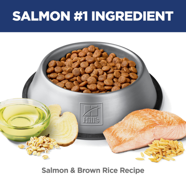 Hill's Science Diet Adult Sensitive Stomach & Skin Salmon Dry Dog Food - Product Image 4