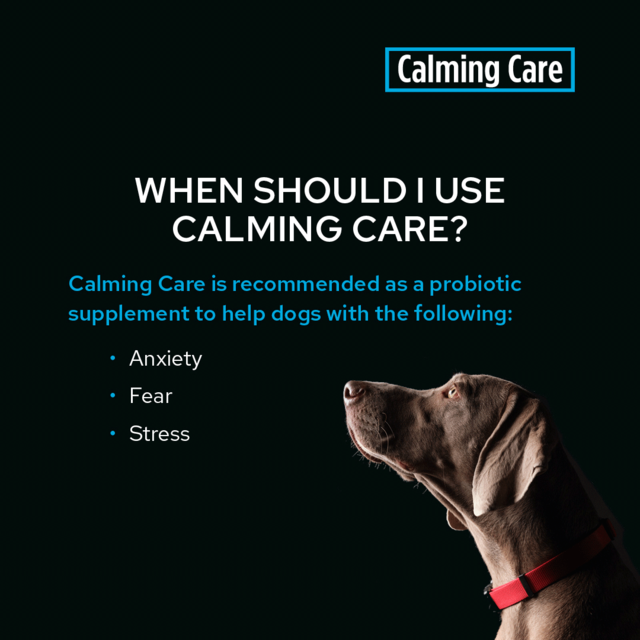 PRO PLAN Veterinary Diet Calming Care Dog Probiotic Supplement - Product Image 1
