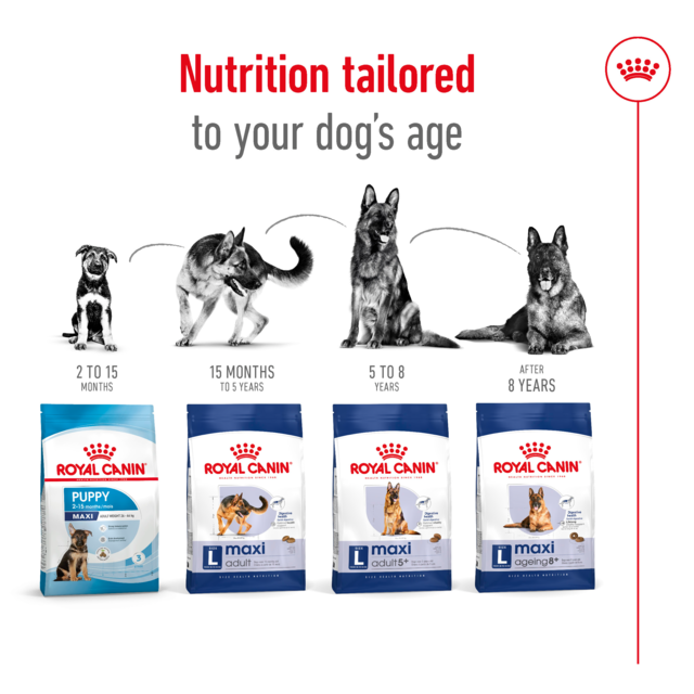 Royal Canin Maxi Adult Dry Dog Food - Product Image 5